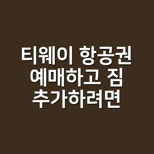 티웨이 항공권 예매하고 짐 추가하려면 이렇게 챙기면 편해요 - 요약