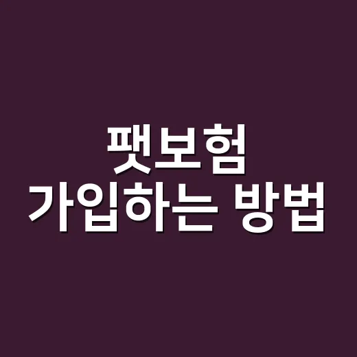 팻보험 가입하는 방법, 초보자가 먼저 확인할 것들 - 요약