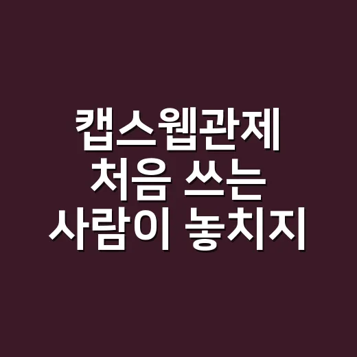 캡스웹관제 처음 쓰는 사람이 놓치지 않는 방법 - 요약