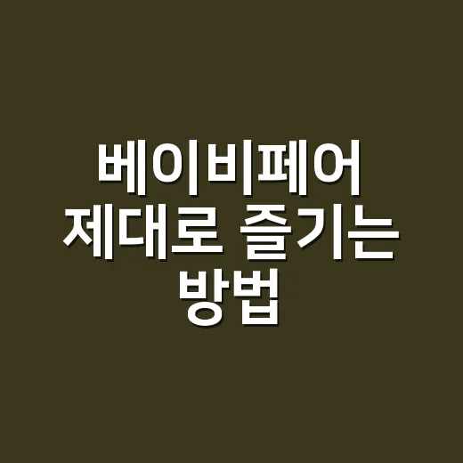 베이비페어 제대로 즐기는 방법, 초보 부모를 위한 준비 체크리스트 - 요약