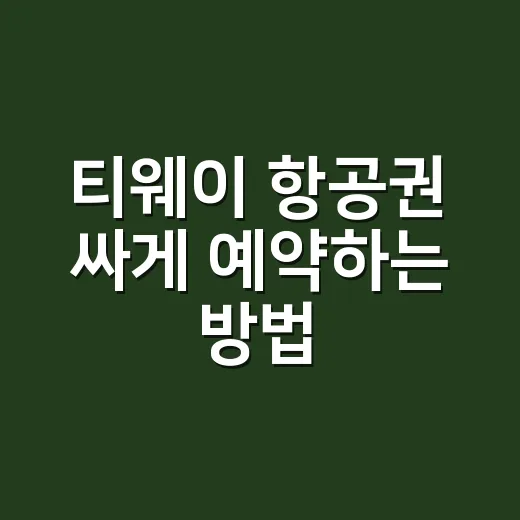 티웨이 항공권 싸게 예약하는 방법, 초보자도 놓치기 쉬운 체크포인트 - 요약