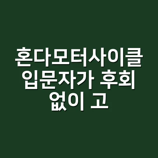 혼다모터사이클 입문자가 후회 없이 고르는 방법 - 요약