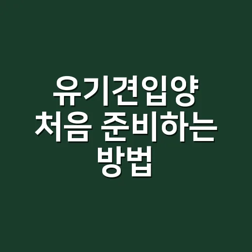 유기견입양 처음 준비하는 방법, 집에 데려오기 전 꼭 챙길 것들 - 요약