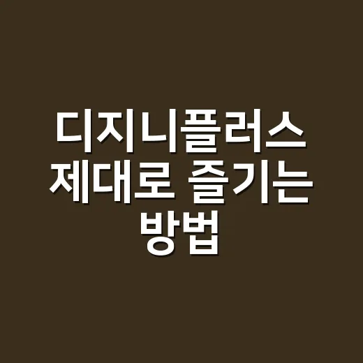 디지니플러스 제대로…
