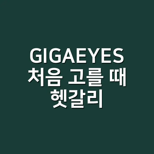 GIGAEYES 처음 고를 때 헷갈리지 않는 방법 - 요약