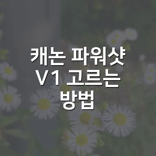 캐논 파워샷 V1 고르는 방법, 브이로그용 카메라가 필요하다면 이렇게 보세요 - 요약