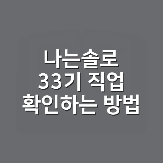 나는솔로 33기 직업 확인하는 방법, 스포 없이 보는 기준 - 요약