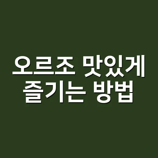 오르조 맛있게 즐기는 방법, 커피 대신 마시려면 이렇게 시작하세요 - 요약
