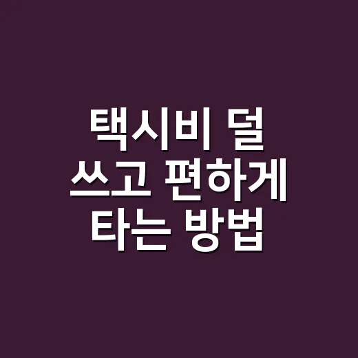 택시비 덜 쓰고 편하게 타는 방법 - 요약