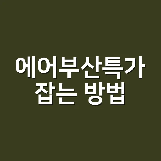 에어부산특가 잡는 방법, 초보자도 놓치지 않게 보는 순서 - 요약