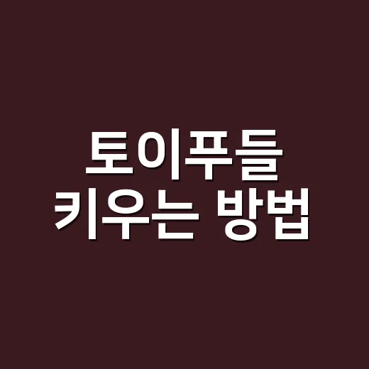 토이푸들 키우는 방법, 처음 데려오기 전 꼭 챙길 것들 - 요약