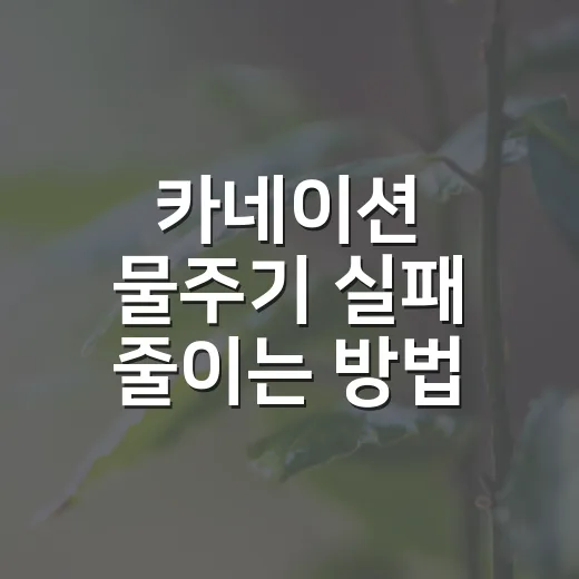 카네이션 물주기 실패 줄이는 방법, 화분 오래 보려면 이렇게 주세요 - 요약