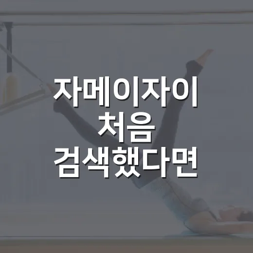 자메이자이 처음 검색했다면 확인하는 방법 - 요약