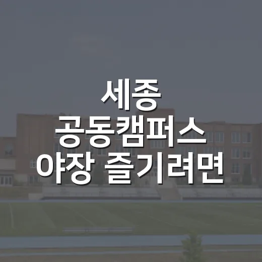 세종 공동캠퍼스 야장 즐기려면 이렇게 준비하면 편해요 - 요약