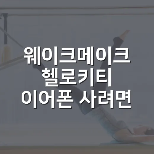 웨이크메이크 헬로키티 이어폰 사려면 이렇게 확인하는 방법 - 요약
