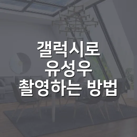 갤럭시로 유성우 촬영하는 방법, 초보자도 실패 줄이는 설정법 - 요약
