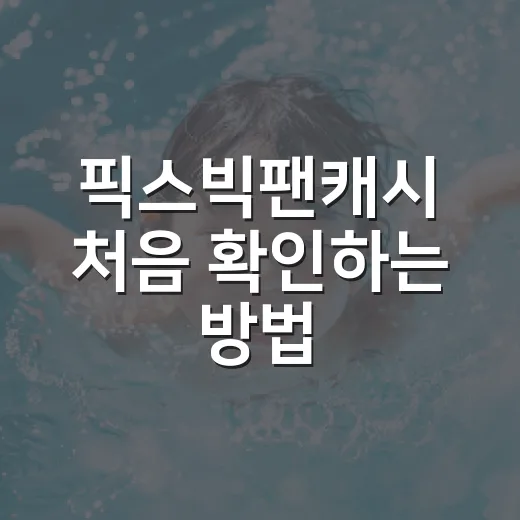 픽스빅팬캐시 처음 확인하는 방법, 헷갈리는 포인트까지 쉽게 챙기기 - 요약