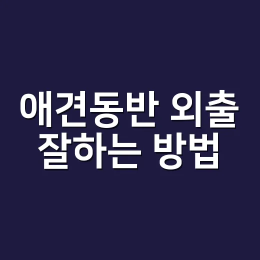 애견동반 외출 잘하는 방법, 카페부터 여행까지 초보 보호자가 챙길 것 - 요약