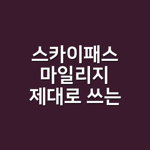 스카이패스 마일리지 제대로 쓰는 방법, 초보자는 이렇게 시작하면 편해요 - 요약