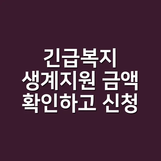 긴급복지 생계지원 금액 확인하고 신청하는 방법 - 요약