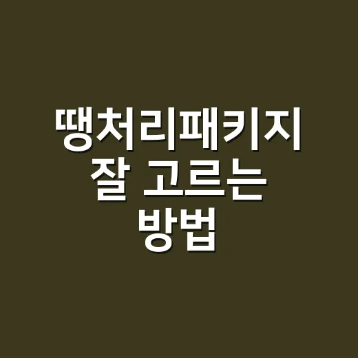 땡처리패키지 잘 고르는 방법, 싸다고 바로 누르기 전에 볼 것들 - 요약