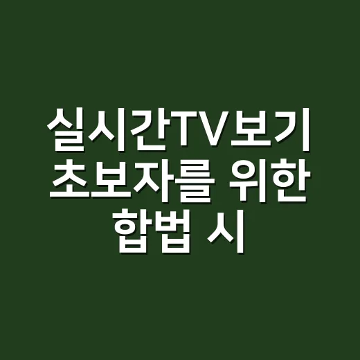 실시간TV보기 초보자를 위한 합법 시청 방법과 끊김 줄이는 요령 - 요약
