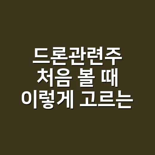드론관련주 처음 볼 때 이렇게 고르는 방법 - 요약