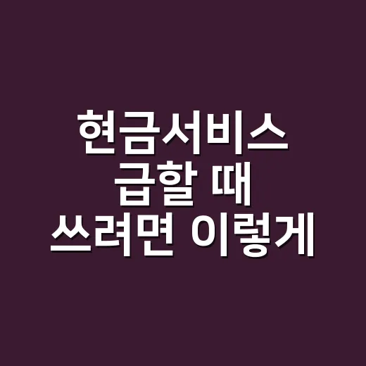 현금서비스 급할 때…