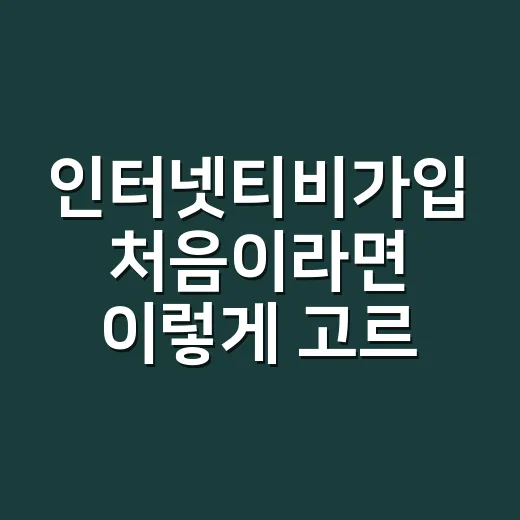 인터넷티비가입 처음…