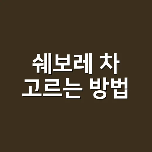 쉐보레 차 고르는 방법, 트랙스와 트레일블레이저부터 유지비까지 보는 기준 - 요약