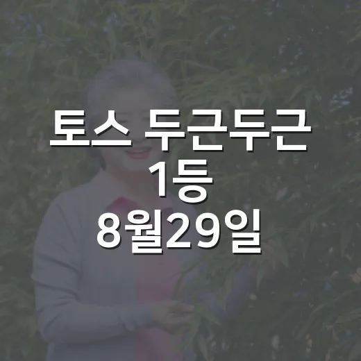 토스 두근두근 1등 8월29일 참여하려면 이렇게 확인하세요 - 요약