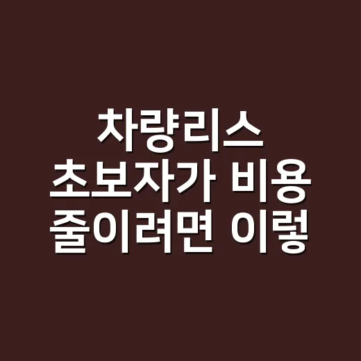 차량리스 초보자가 비용 줄이려면 이렇게 비교하면 됩니다 - 요약