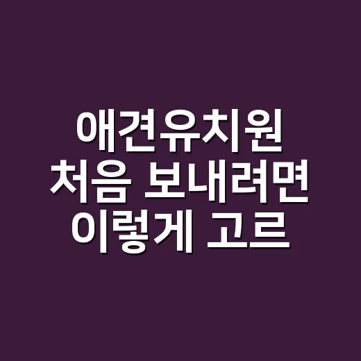 애견유치원 처음 보내려면 이렇게 고르는 방법 - 요약