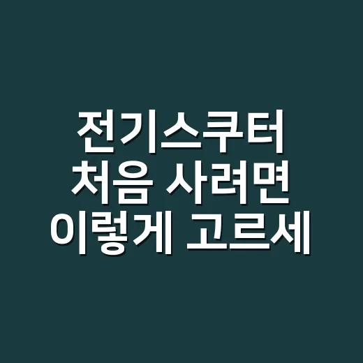 전기스쿠터 처음 사려면 이렇게 고르세요 - 요약