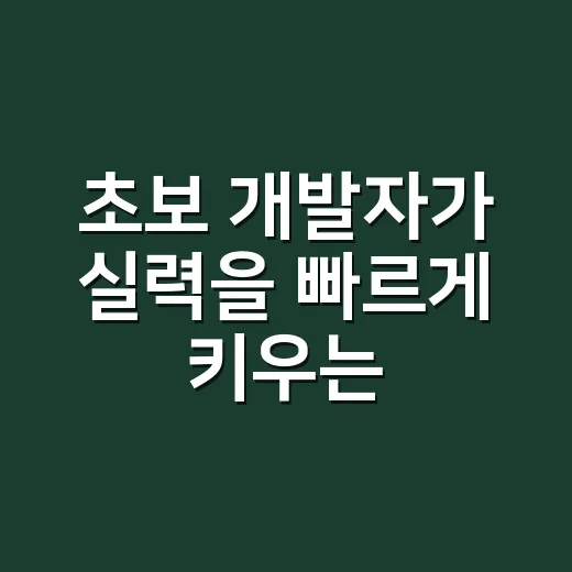초보 개발자가 실력을 빠르게 키우는 방법 - 요약