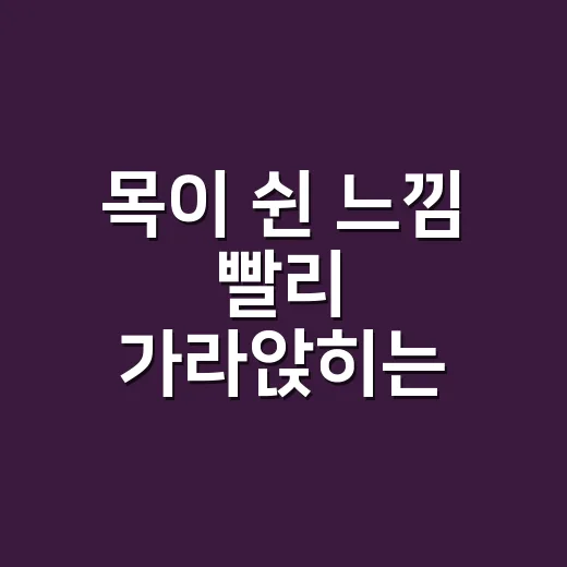 목이 쉰 느낌 빨리 가라앉히는 방법, 집에서 먼저 챙길 것들 - 요약