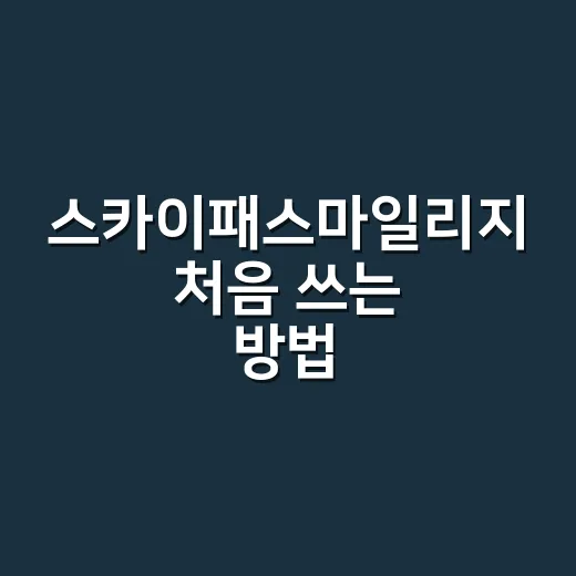 스카이패스마일리지 처음 쓰는 방법, 항공권부터 소멸 전 체크까지 - 요약