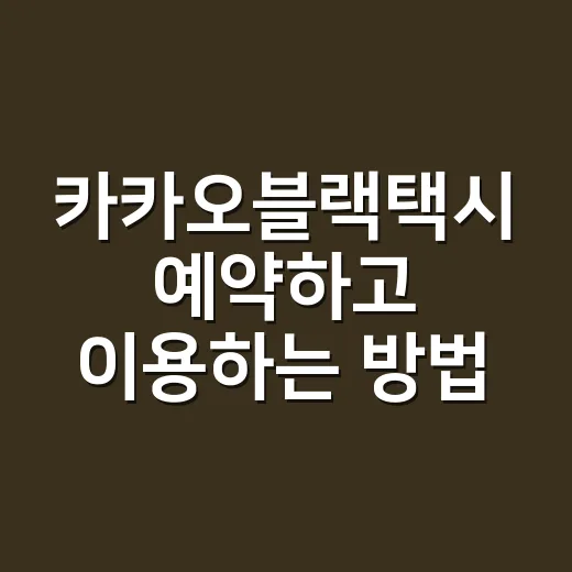카카오블랙택시 예약하고 이용하는 방법, 요금까지 헷갈리지 않게 - 요약