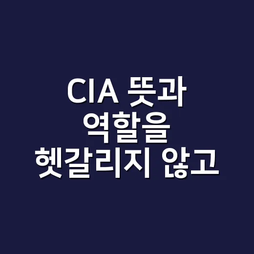 CIA 뜻과 역할을 헷갈리지 않고 이해하는 방법 - 요약