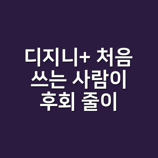 디지니+ 처음 쓰는 사람이 후회 줄이는 방법 - 요약