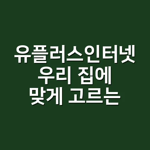 유플러스인터넷 우리 집에 맞게 고르는 방법 - 요약