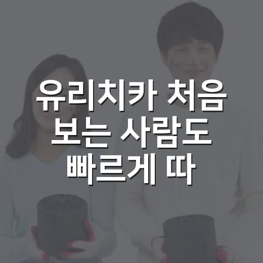 유리치카 처음 보는 사람도 빠르게 따라가는 방법 - 요약