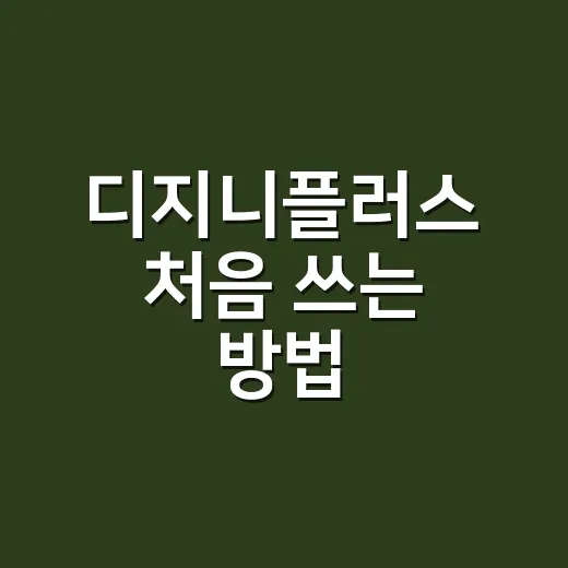 디지니플러스 처음 쓰는 방법, 가입 전 확인하면 좋은 것들 - 요약