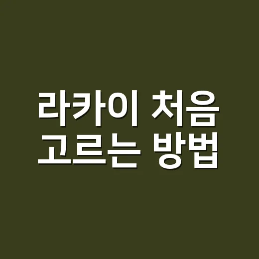 라카이 처음 고르는 방법, 디자인부터 사이즈까지 이렇게 보면 쉬워요 - 요약