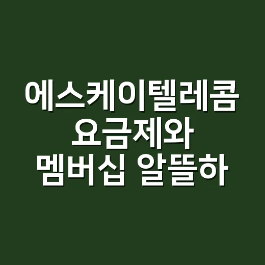 에스케이텔레콤 요금제와 멤버십 알뜰하게 쓰는 방법 - 요약