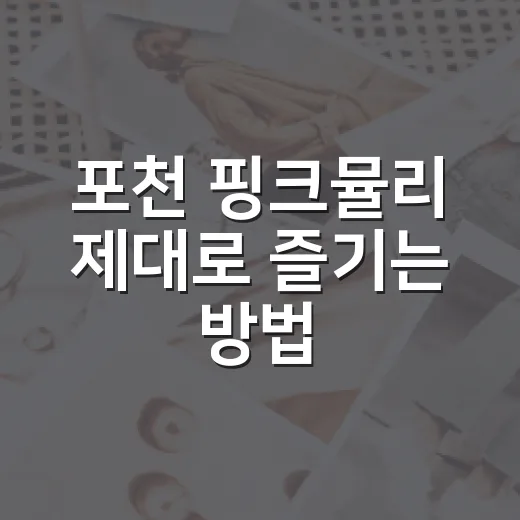 포천 핑크뮬리 제대로 즐기는 방법, 시간대와 코스까지 - 요약