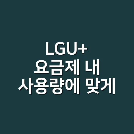 LGU+ 요금제 내 사용량에 맞게 고르는 방법 - 요약