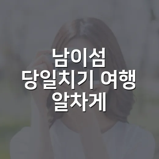 남이섬 당일치기 여행 알차게 다녀오는 방법 - 요약