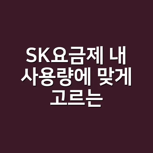 SK요금제 내 사용량에 맞게 고르는 방법 - 요약