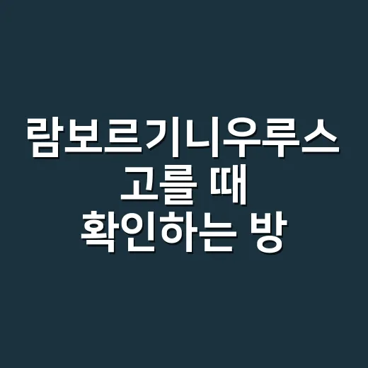 람보르기니우루스 고를 때 확인하는 방법 - 요약